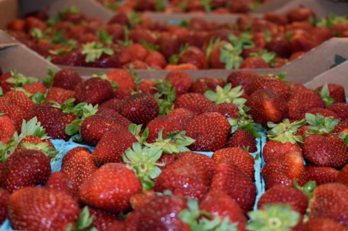 Annual Strawberry Festival Returns Memorial Day Weekend - The Local Scoop